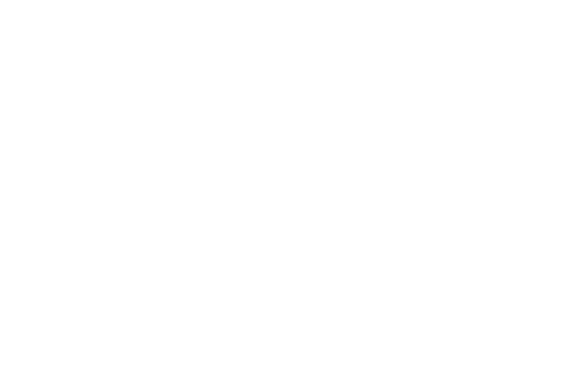customplugs.com